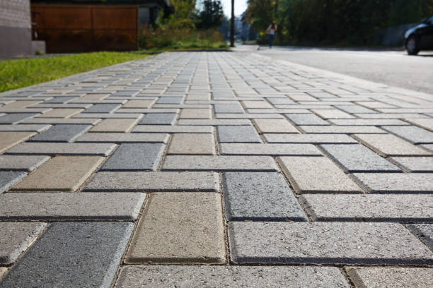 Best Driveway Paving Contractor  in Lancaster, SC